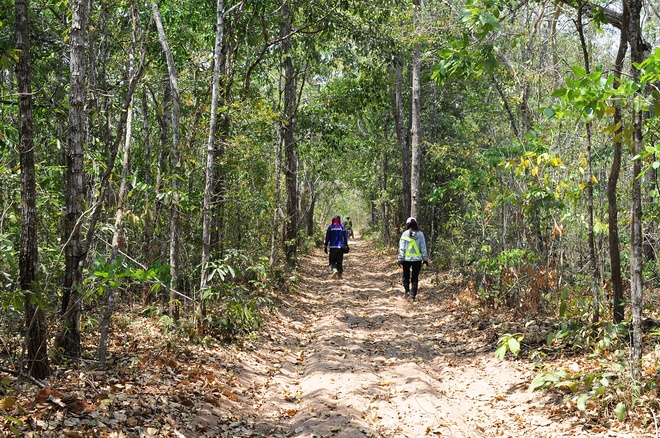 24h khám phá rừng Bưng Thị hoang sơ ở Bình Thuận thích thú