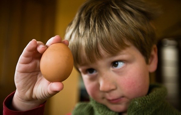 Trẻ em ăn bao nhiêu trứng là tốt cho sức khỏe