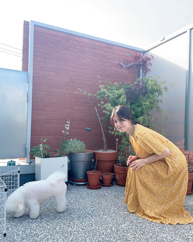 Khoảng khắc yên bình bên thú cưng của Song Hye Kyo