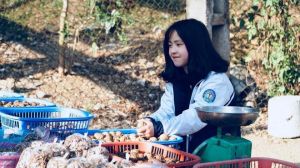 Cô bé bán óc chó ở Hà Giang siêu dễ thương